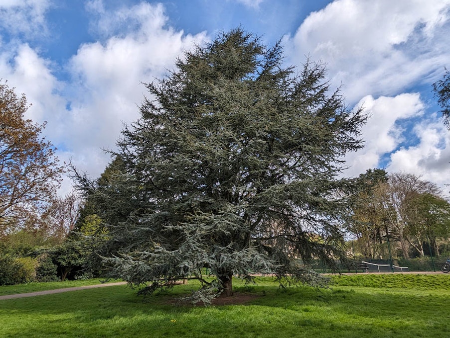 Preview photo of Alice's Arboretum Family Friendly