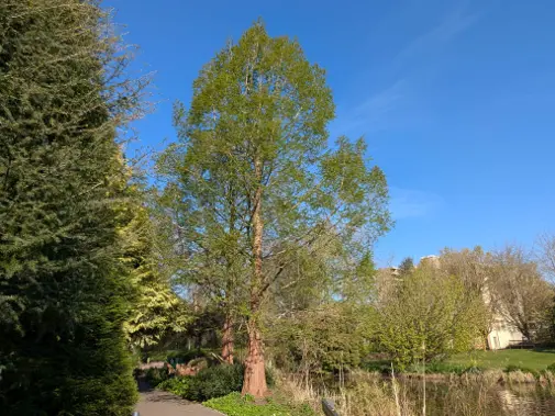 Preview photo of Claverton Campus